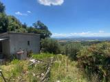Particella, ROCCASTRADA, 120.000 €, 80,00 mq
