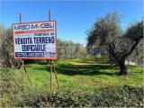 Particella, FIANO ROMANO, 185.000 €, 1000,00 mq