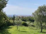 Particella, LIVORNO, 62.000 €, 2300,00 mq
