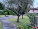 Casa, CAMPOLONGO MAGGIORE, 175.000 €, 205,00 mq
