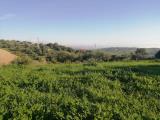 Particella, SCIACCA, 110.000 €, 2233,00 mq