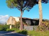 Particella, BUGGIANO, 150.000 €, 480,00 mq