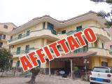 Affitto, Appartamento, ACERRA, 580 €, 160,00 mq