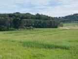Particella, COLLESALVETTI, 50.000 €, 20960,00 mq
