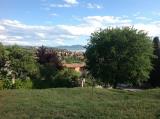 Particella, PASSIGNANO SUL TRASIMENO, 70.000 €, 480,00 mq