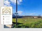 Particella, COLLEPASSO, 38.000 €, 1154,00 mq