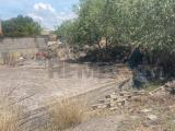 Particella, PATERNÒ, 55.000 €, 270,00 mq