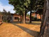 Casa, PIEVE A NIEVOLE, 380.000 €, 250,00 mq