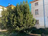 Particella, VERONA, 185.000 €, 195,00 mq