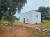 Particella, OSTUNI, 89.000 €, 24000,00 mq