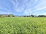 Particella, CAMAIORE, 19.000 €, 2185,00 mq