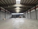 Affitto, Superfici commerciali, CASALGRANDE, 8.250 €, 2200,00 mq