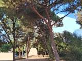Superfici commerciali, RAPALLO, 220.000 €, 100,00 mq