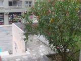 Affitto, Superfici commerciali, PERUGIA, 480 €, 71,00 mq