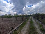 Particella, BISCEGLIE, 32.000 €, 3400,00 mq