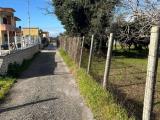 Particella, SOMMA VESUVIANA, 29.000 €, 1000,00 mq