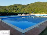 Appartamento, MARCIANA, 135.000 €, 39,00 mq