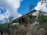 Superfici commerciali, CALCI, 550.000 €, 200,00 mq