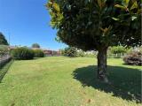 Particella, TREVIGNANO, 80.000 €, 665,00 mq