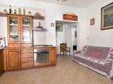 Affitto, Appartamento, COLLESALVETTI, 600 €, 50,00 mq