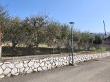 Particella, PERUGIA, 169.000 €, 3191,00 mq