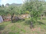 Particella, CAMAIORE, 20.000 €, 2300,00 mq