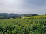 Particella, CASTELLAMMARE DEL GOLFO, 28.000 €, 8460,00 mq