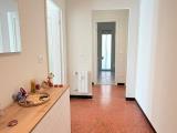 Affitto, Appartamento, GENOVA, 590 €, 50,00 mq