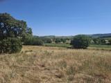 Particella, GROSSETO, 198.000 €