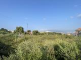 Particella, MESSINA, Faro Superiore, 16.000 €, 3335,00 mq