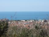 Particella, SCALEA, 59.000 €, 16900,00 mq