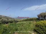Casa, TERMINI IMERESE, 465.000 €, 300,00 mq