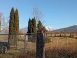 Particella, BELLUNO, 85.000 €, 8800,00 mq