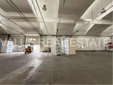 Superfici commerciali, SEGRATE, 200.000 €, 230,00 mq