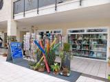 Superfici commerciali, CADONEGHE, 37.000 €, 65,00 mq