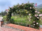 Casa, FORMIA, 380.000 €, 280,00 mq