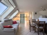 Affitto, Appartamento, FORLI, 580 €, 49,00 mq
