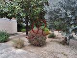 Appartamento, ROMA, 255.000 €, 70,00 mq