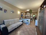 Affitto, Appartamento, ALESSANDRIA, 430 €, 50,00 mq