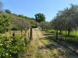 Particella, MARINO, 420.000 €, 2366,00 mq