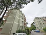 Appartamento, TRIESTE, 199.000 €, 123,00 mq