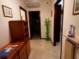 Affitto, Appartamento, PIACENZA, 900 €, 80,00 mq