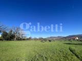 Particella, CONTRADA, 845.000 €, 22170,00 mq