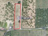 Particella, GIUGLIANO IN CAMPANIA, 80.000 €, 2850,00 mq