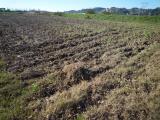 Particella, SANTA MARIA A MONTE, 10.000 €, 2500,00 mq
