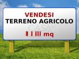 Particella, MONSAMPOLO DEL TRONTO, 99.000 €, 45000,00 mq