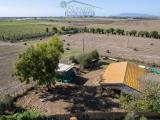 Casa, CAPALBIO, 240.000 €, 106,00 mq