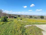 Particella, FRASCATI, 189.000 €, 21500,00 mq