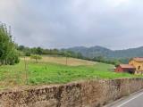Particella, ARZIGNANO, 36.000 €, 980,00 mq