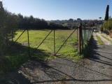Particella, FRASCATI, 26.500 €, 2500,00 mq